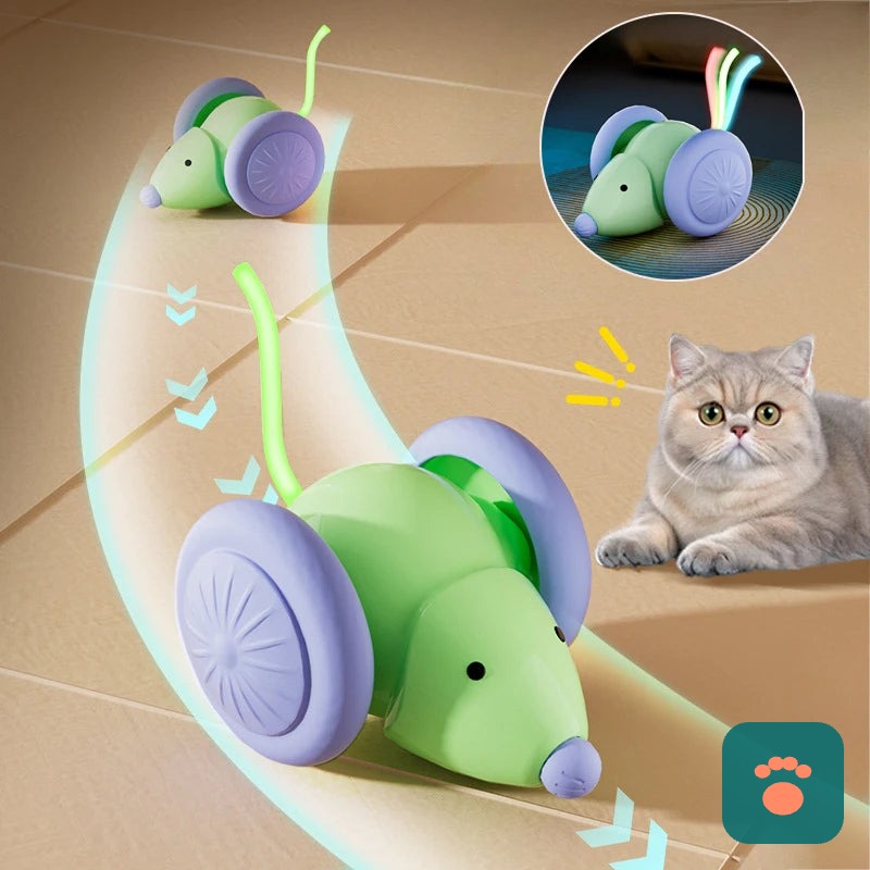 Brinquedo Interativo Patinha Smart — Diversão Automática Para Seu Pet Não Ficar Entediado