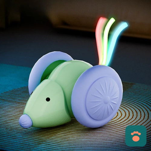 Brinquedo Interativo Patinha Smart — Diversão Automática Para Seu Pet Não Ficar Entediado