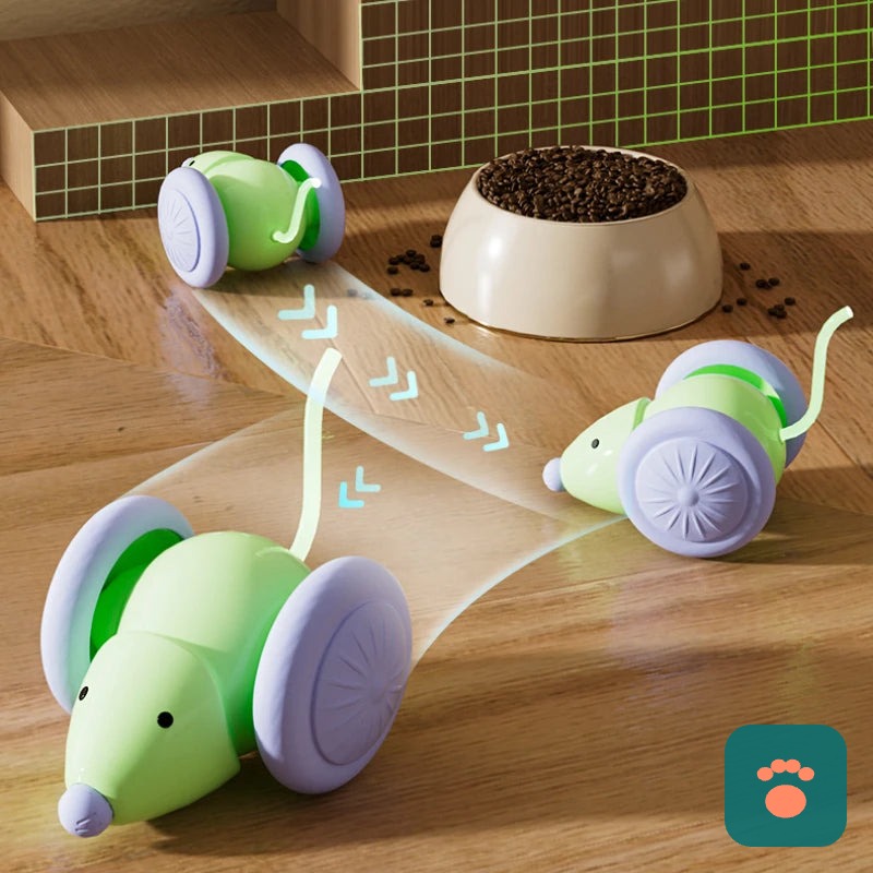 Brinquedo Interativo Patinha Smart — Diversão Automática Para Seu Pet Não Ficar Entediado