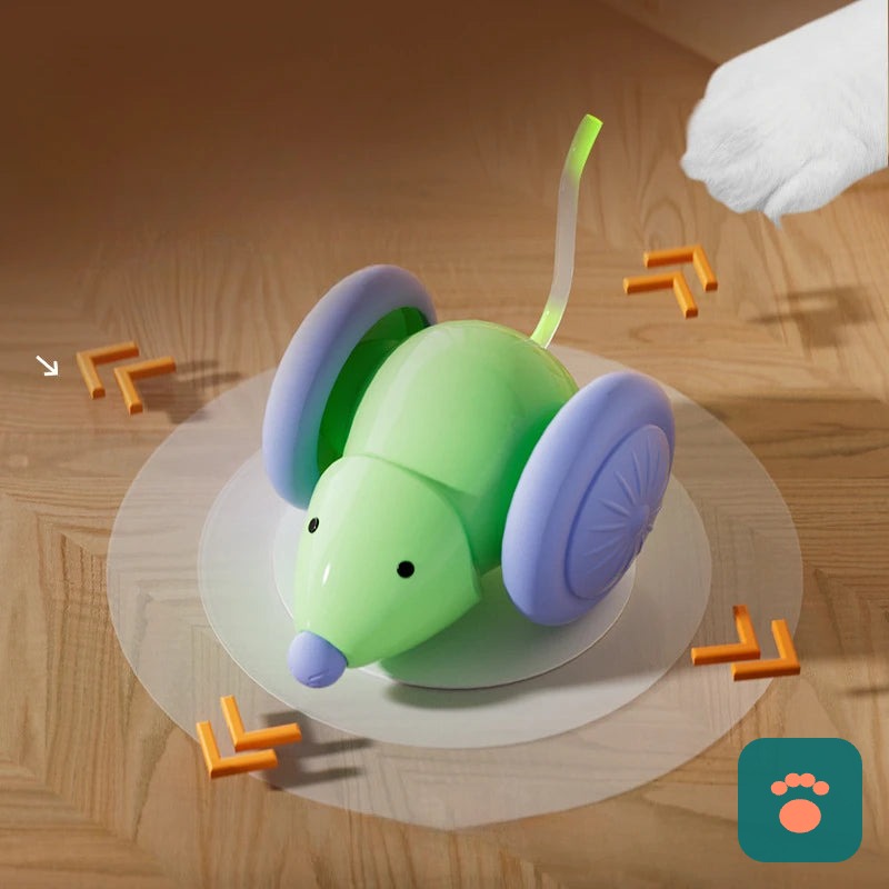 Brinquedo Interativo Patinha Smart — Diversão Automática Para Seu Pet Não Ficar Entediado