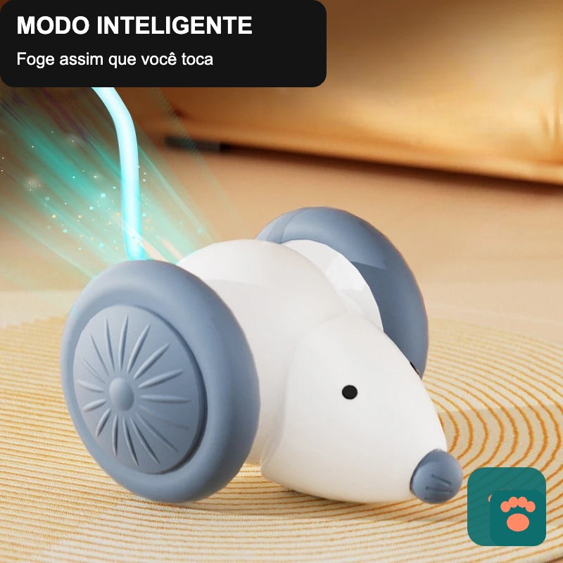 Brinquedo Interativo Patinha Smart — Diversão Automática Para Seu Pet Não Ficar Entediado