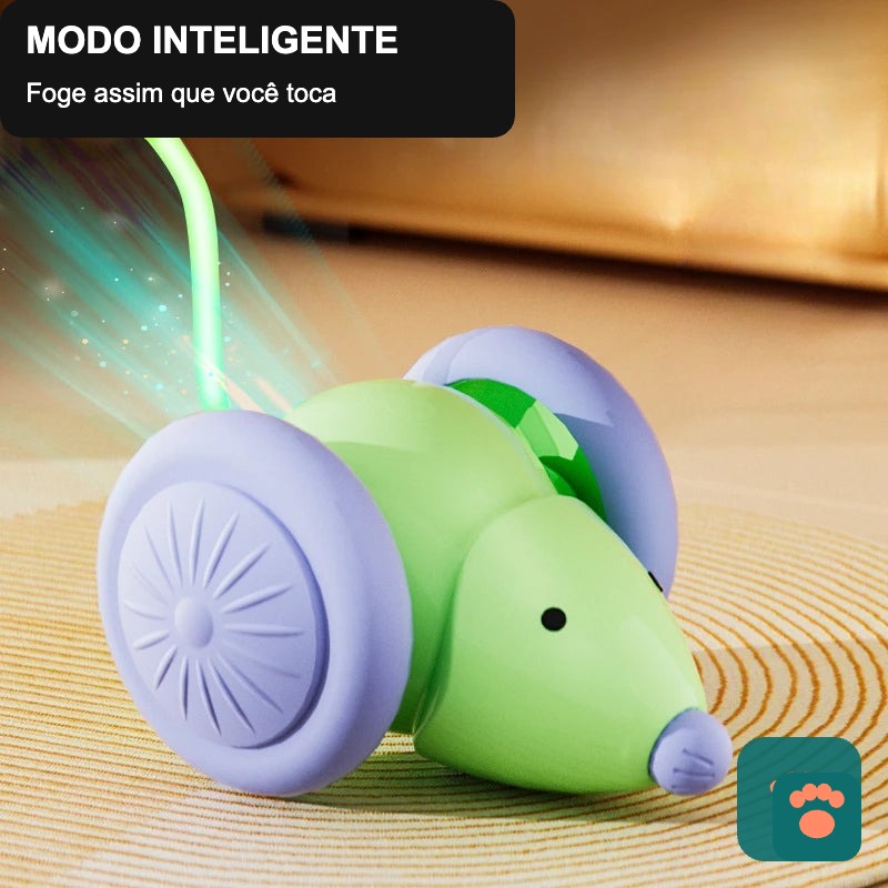 Brinquedo Interativo Patinha Smart — Diversão Automática Para Seu Pet Não Ficar Entediado